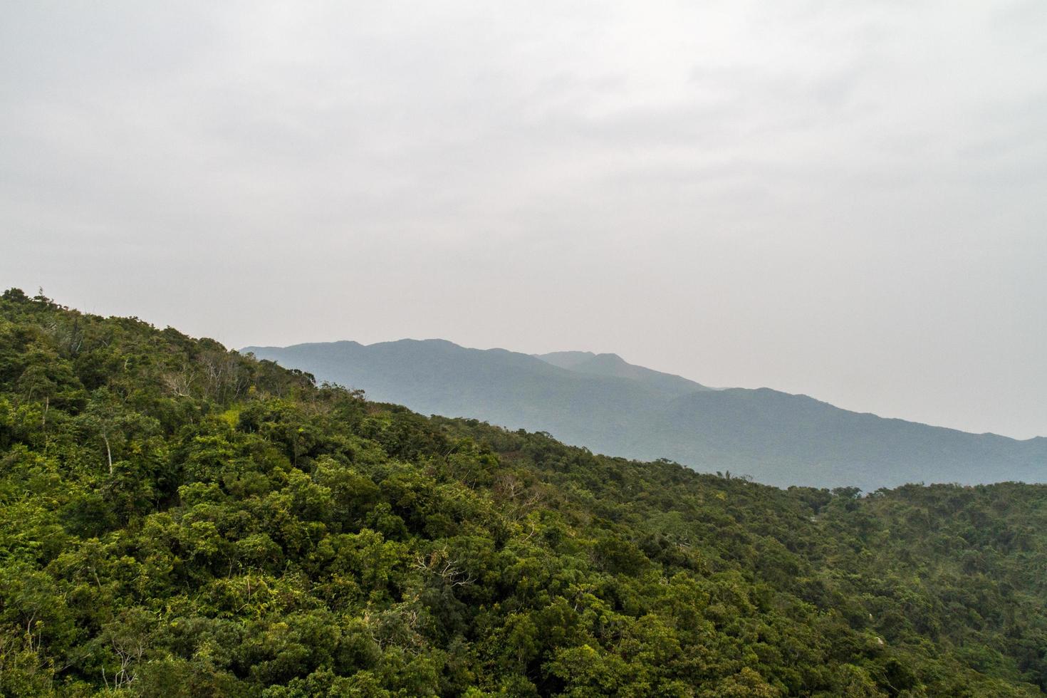 kinesisk djungel, ön Hainan foto