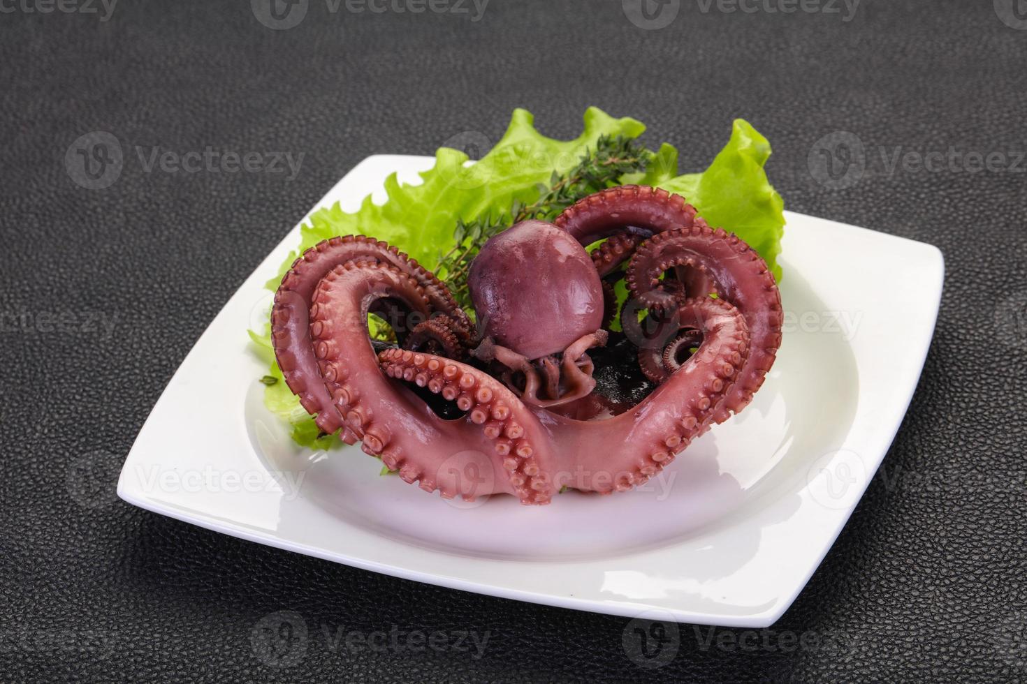 kokt bläckfisk med örter foto