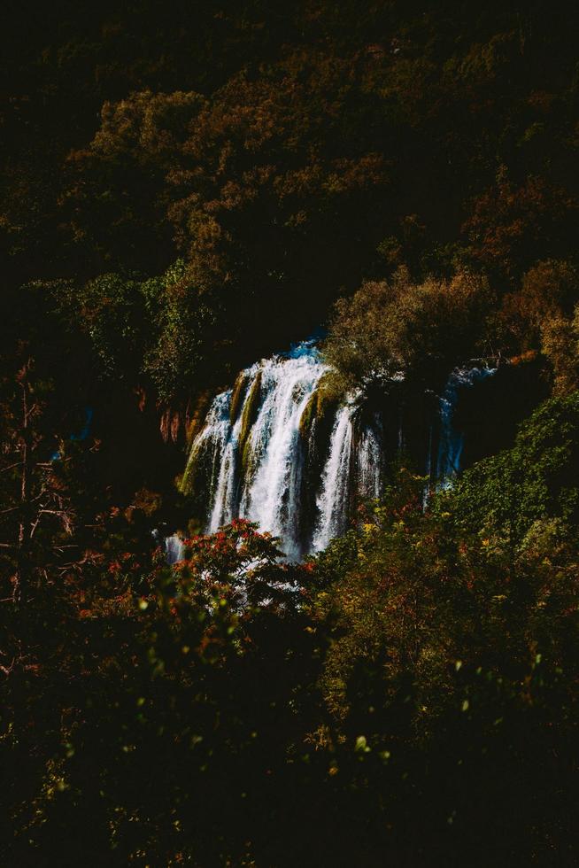 ensamt vattenfall i skogen foto