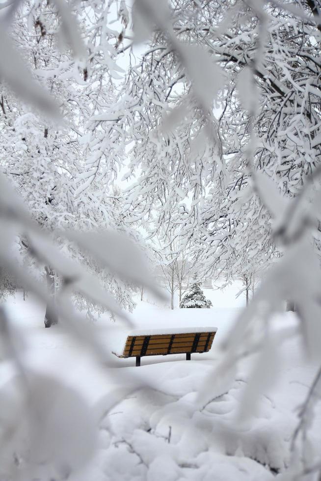 brun bänk täckt med snö foto