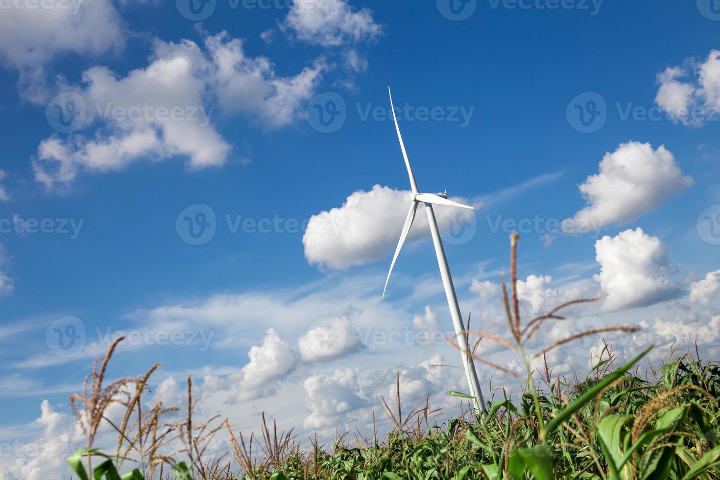 vindkraftverk för alternativ energi på bakgrundshimmel på kassava foto