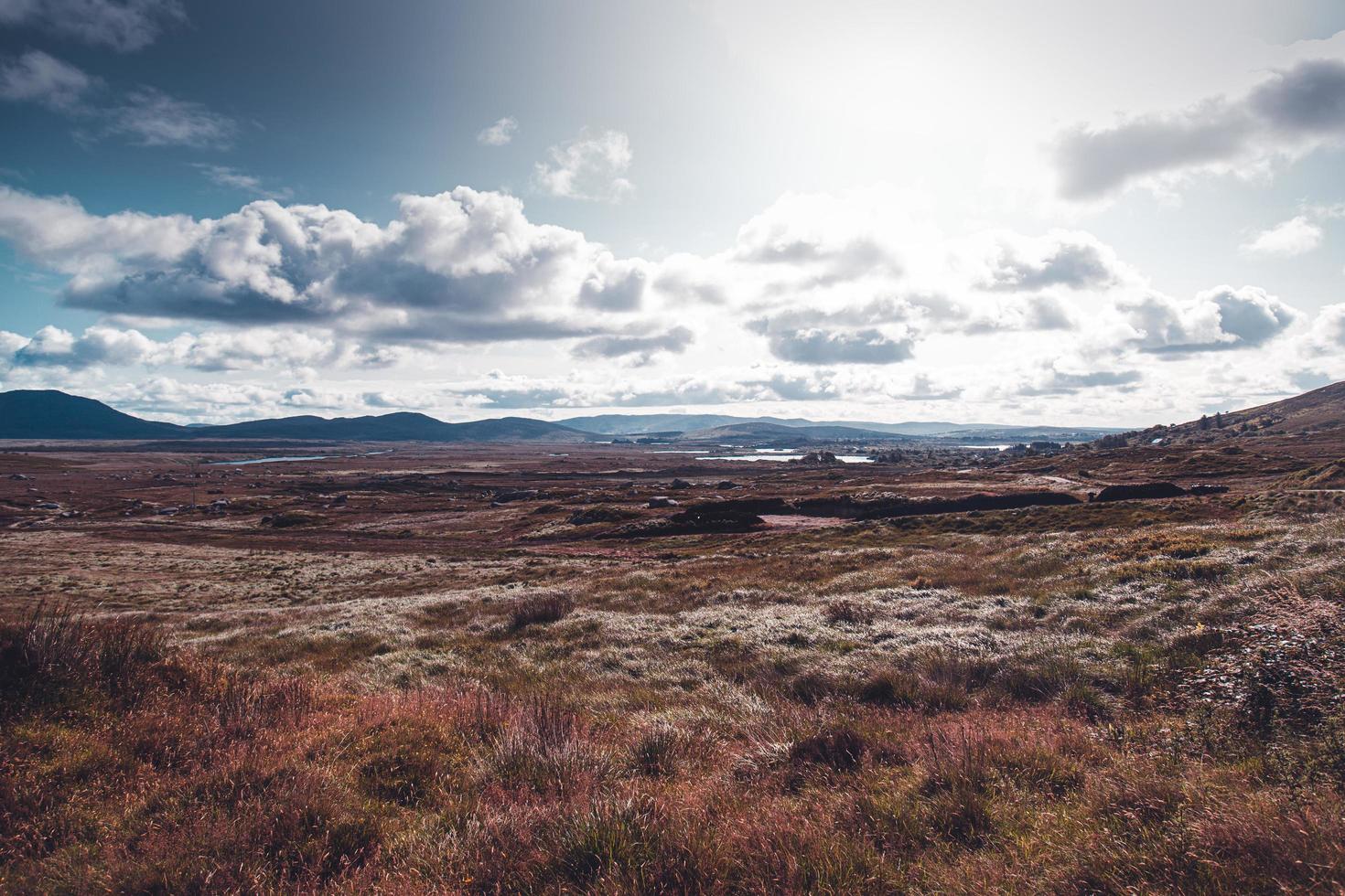 fält för brunt gräs foto