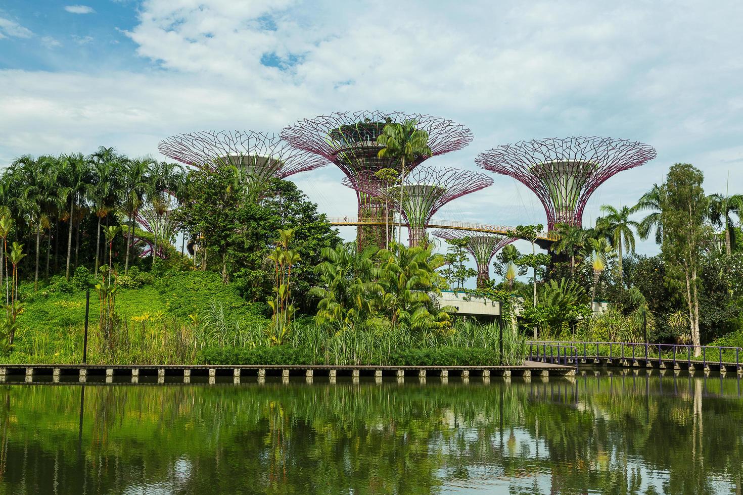 singapore, Maj 12, trädgårdar förbi de bukt på mar 12, 2014 i Singapore. trädgårdar förbi de bukt var krönt värld byggnad av de år på de värld arkitektur festival 2012 foto