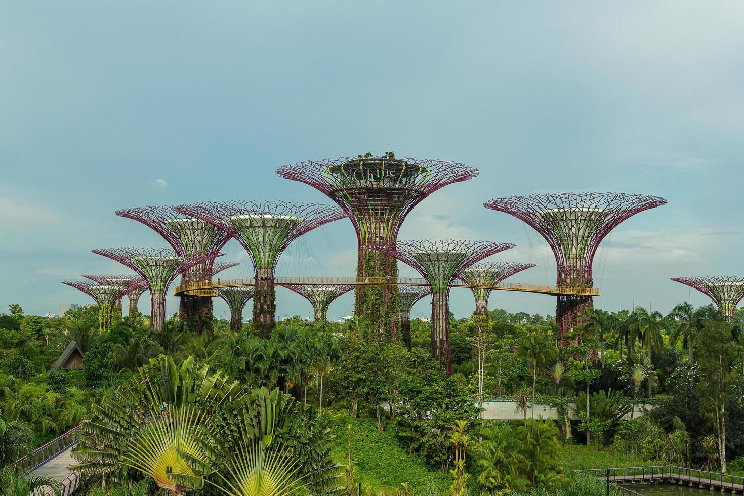 singapore, Maj 12, trädgårdar förbi de bukt på mar 12, 2014 i Singapore. trädgårdar förbi de bukt var krönt värld byggnad av de år på de värld arkitektur festival 2012 foto
