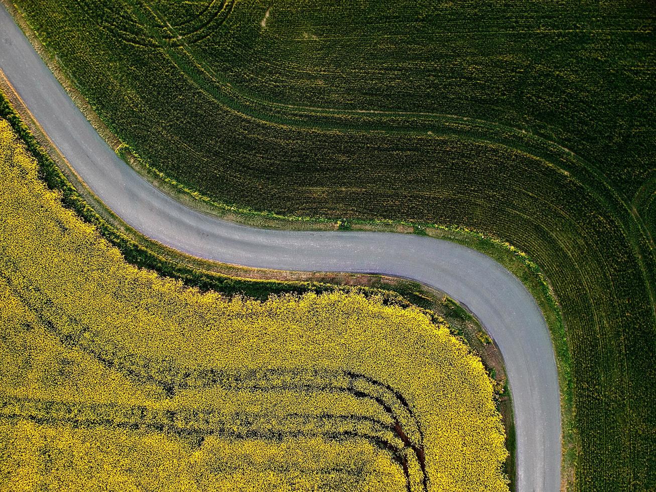 Flygfoto över vägen genom fält foto