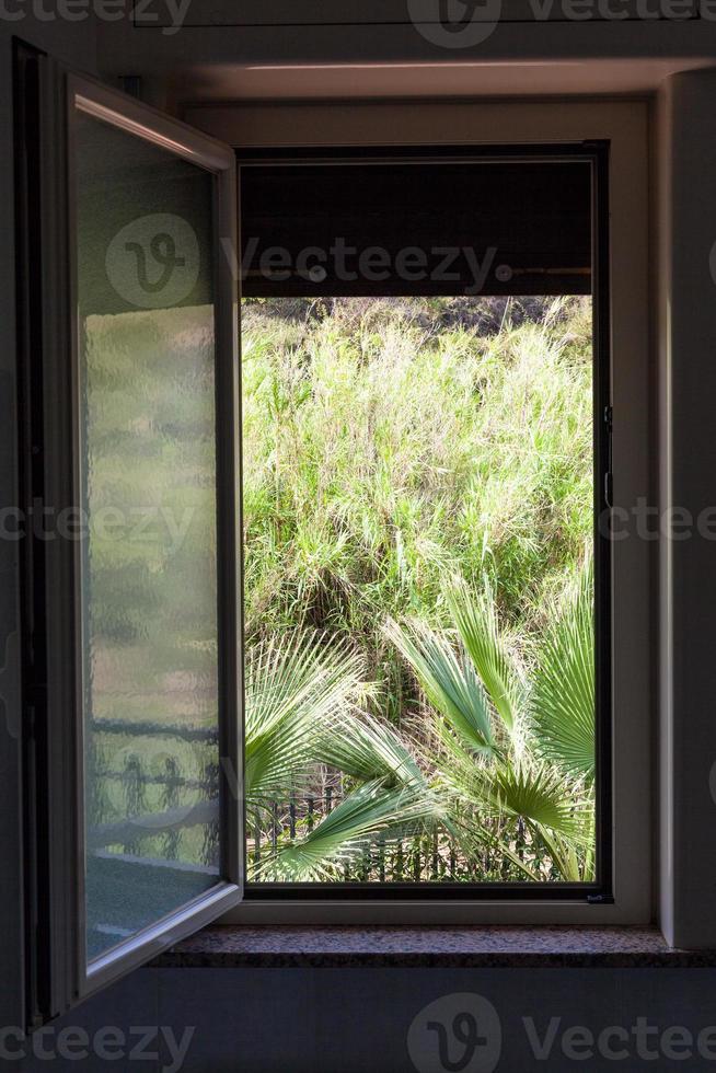 se av grön bakgård från öppen Hem fönster foto