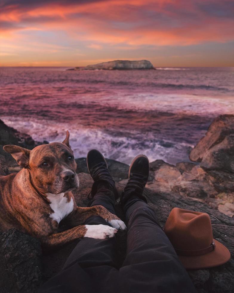 person som sitter på stranden bredvid hunden foto