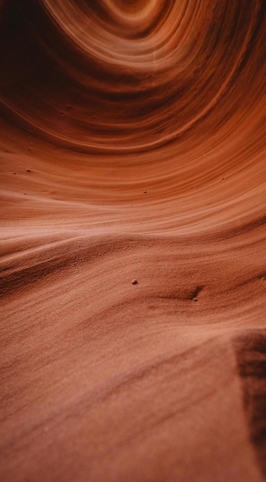 landskapsfoto av en brun sandökne foto