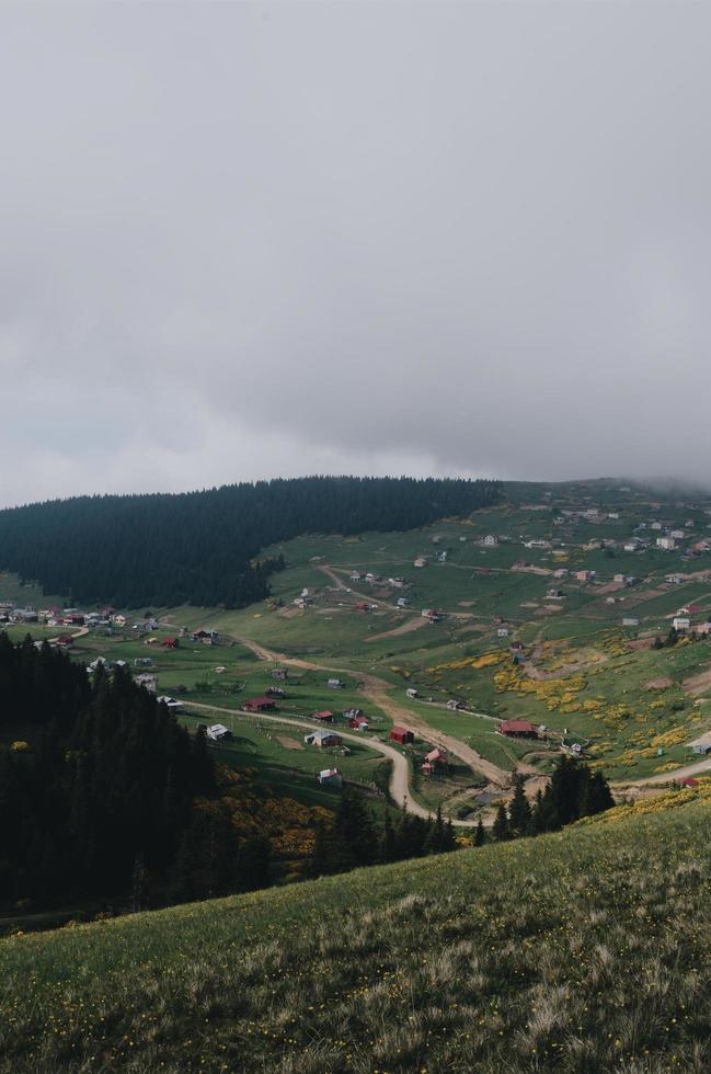 Flygfoto över skog och hus under mulen himmel foto