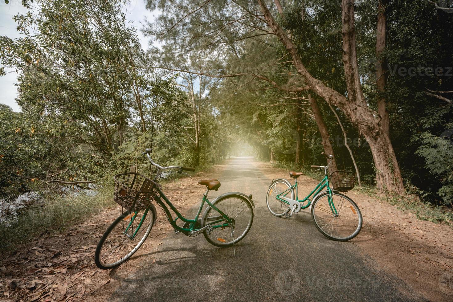 en cykel på väg med solljus och grön träd i parkera utomhus. foto