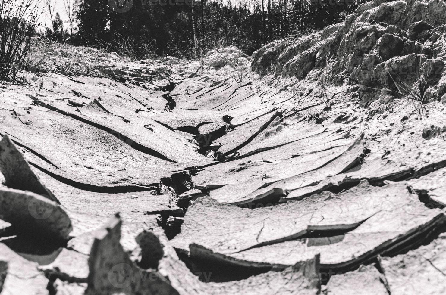 svart och vit Foto av knäckt jord från en låg vinkel mot de bakgrund av en skog