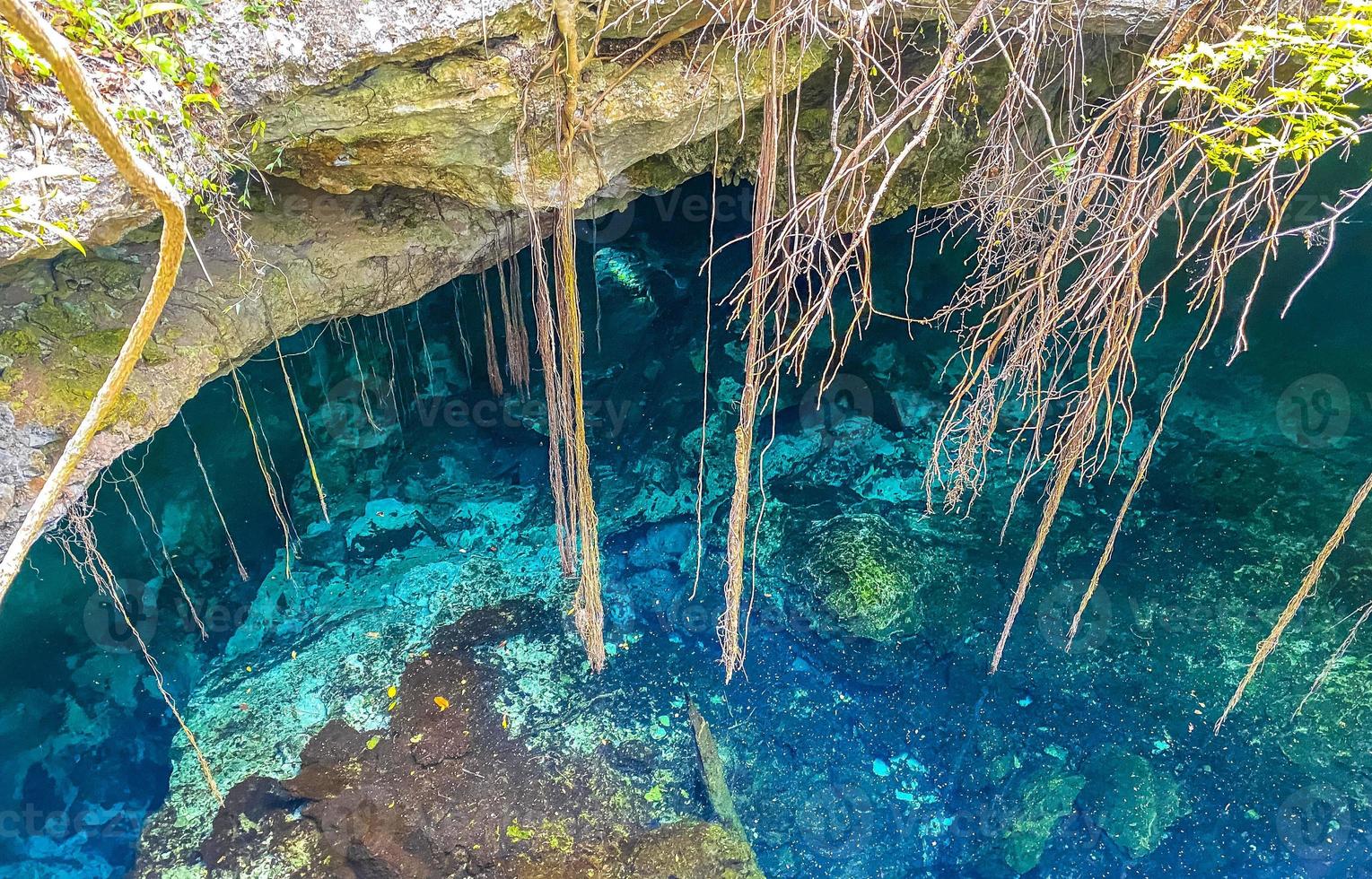 blå turkos vatten kalksten grotta sjunkhål cenote tajma ha mexico. foto