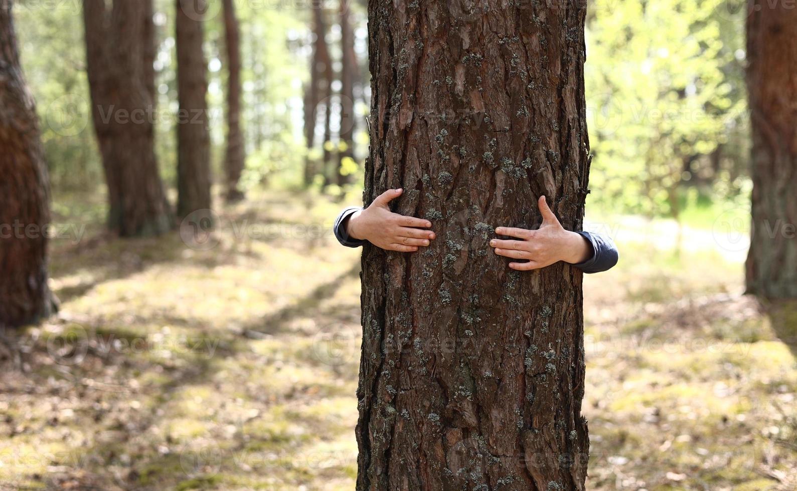 man med hans händer kramar en träd trunk, enhet med natur, miljö- skydd. hand Rör de träd trunk. ekologi en energi skog natur begrepp. en man hand finputsning en tall träd foto