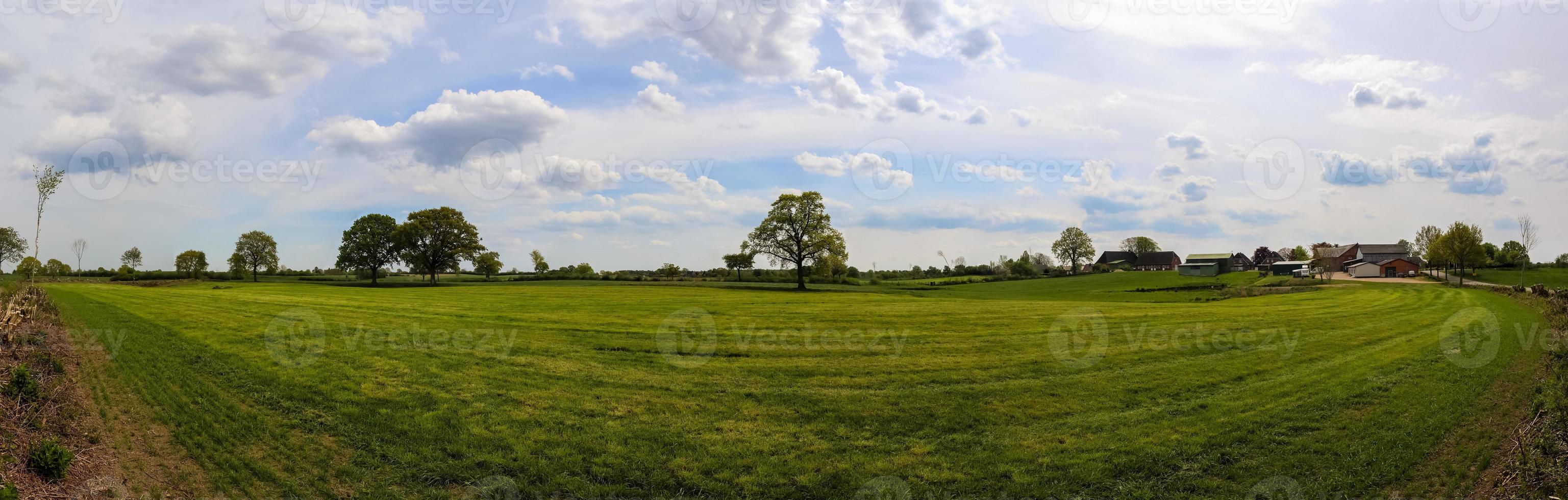 vackert högupplöst panorama av ett landskap med åkrar och grönt gräs som finns i danmark och tyskland. foto