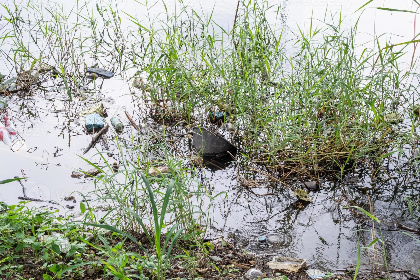 plast förorening i vatten damm miljö foto