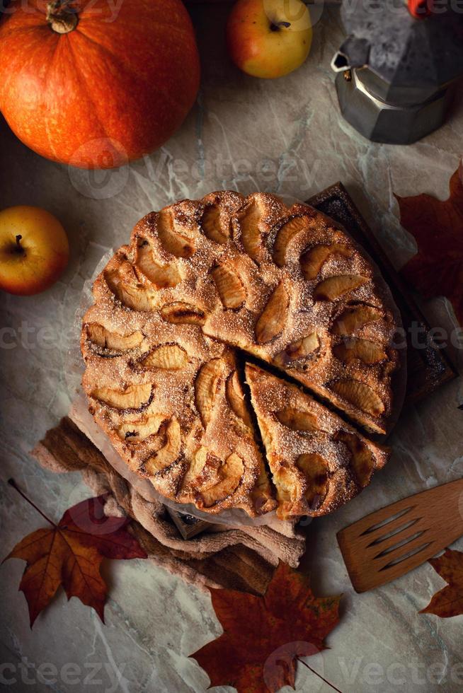 hemlagad äpple paj på en vit bakgrund, topp se, kopia Plats foto