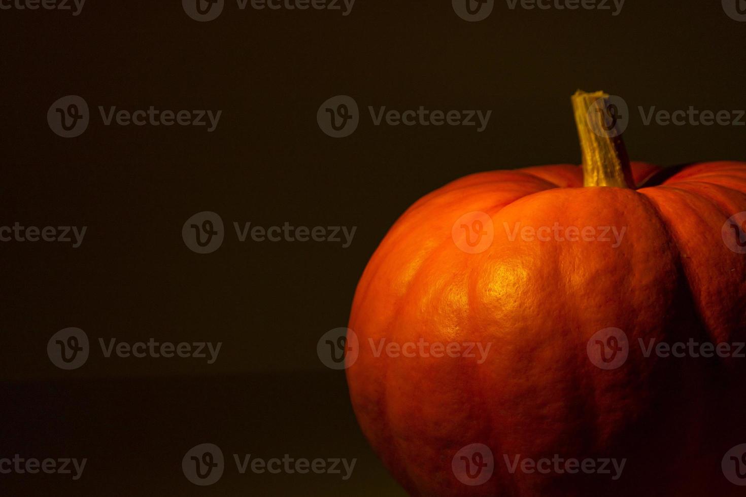 stor orange pumpa på en svart bakgrund. foto