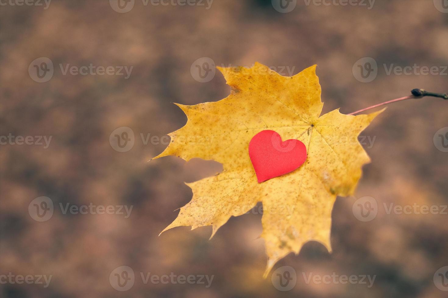 öppen ren hjärta symbol, kopia Plats foto