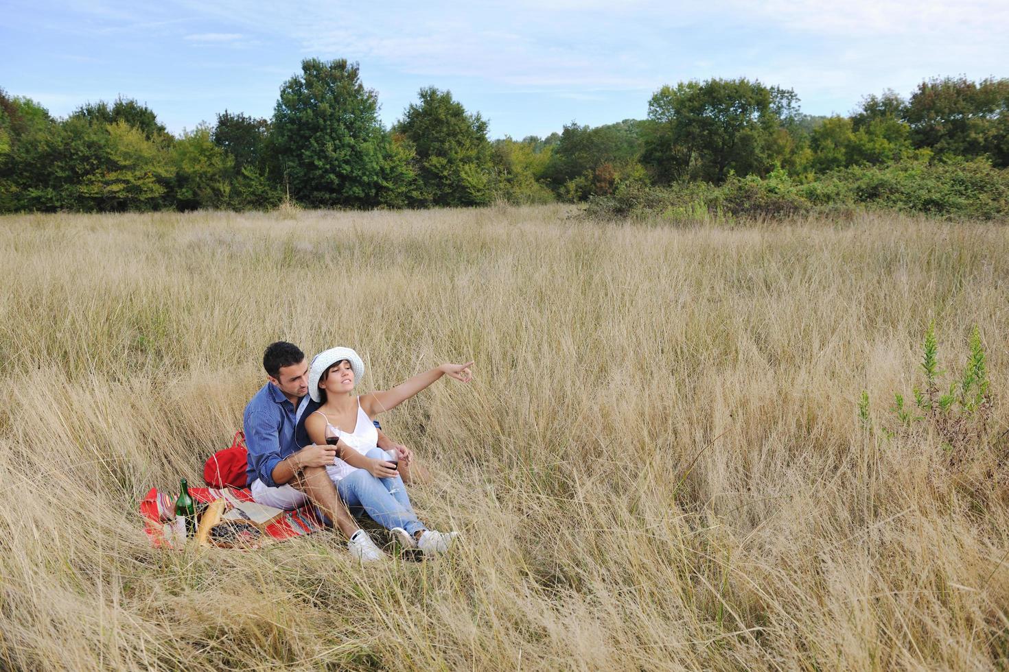 Lycklig par njuter landsbygden picknick i lång gräs foto