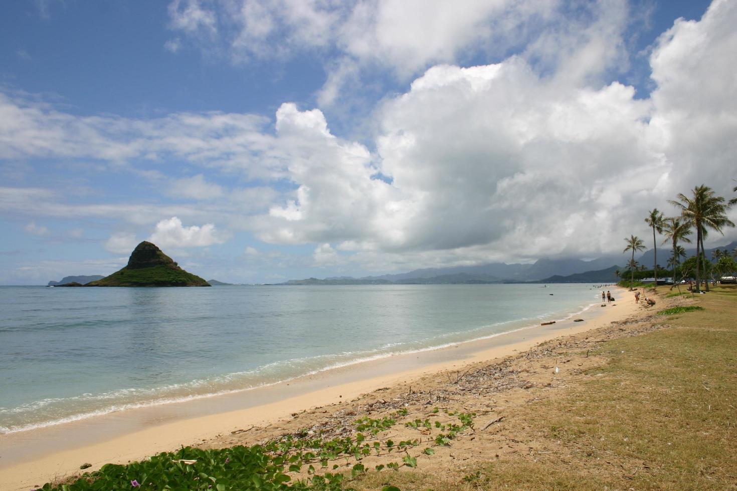 stranden i hawaii foto