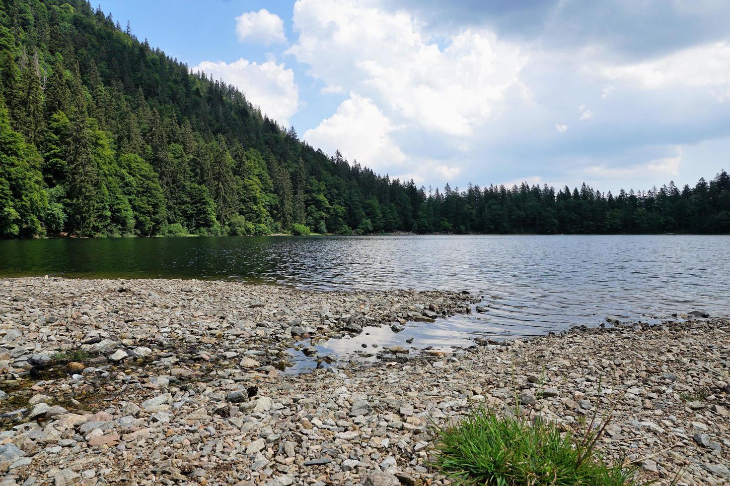 sjö i skogen foto