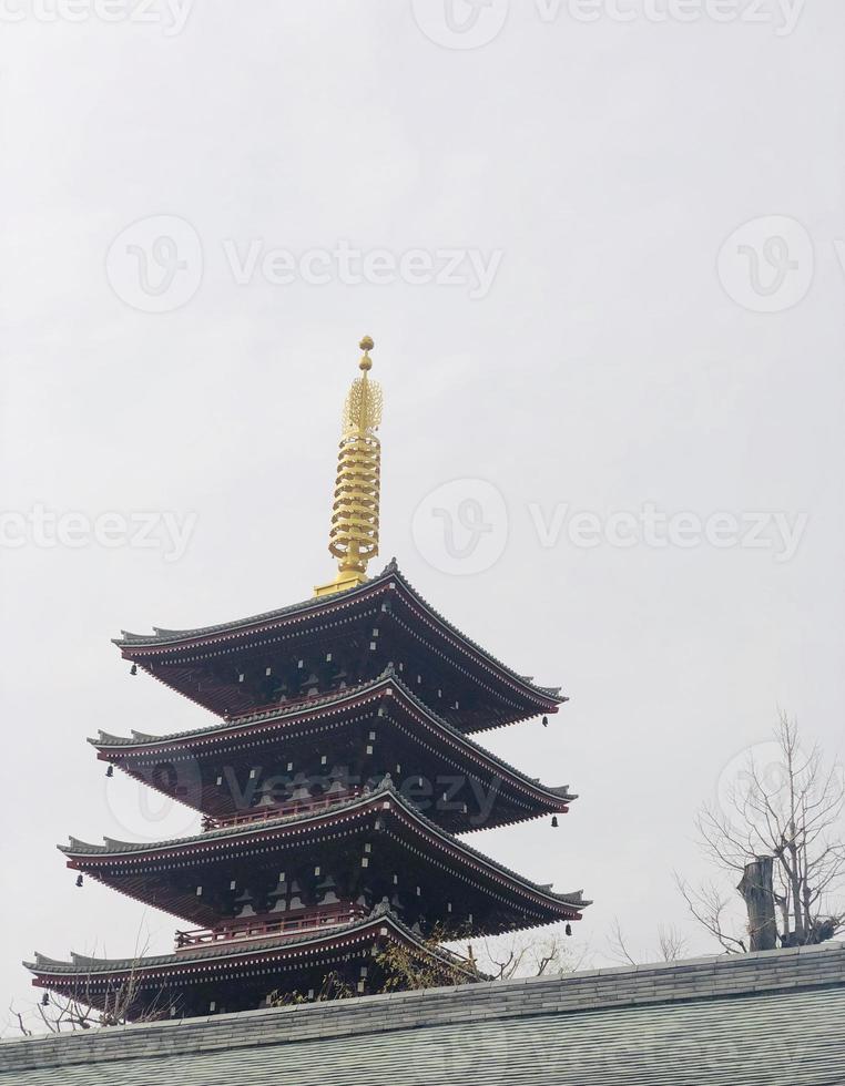 japansk tempel proffs Foto