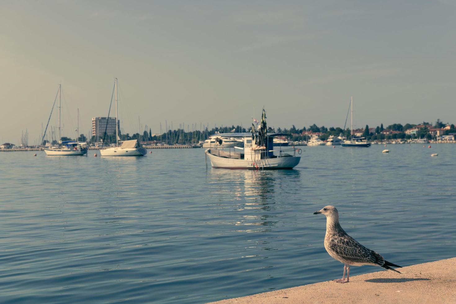 en fotografera av en fartyg och en lyx Yacht förankrade i hamn. skön Foto av en medelhavs hamn