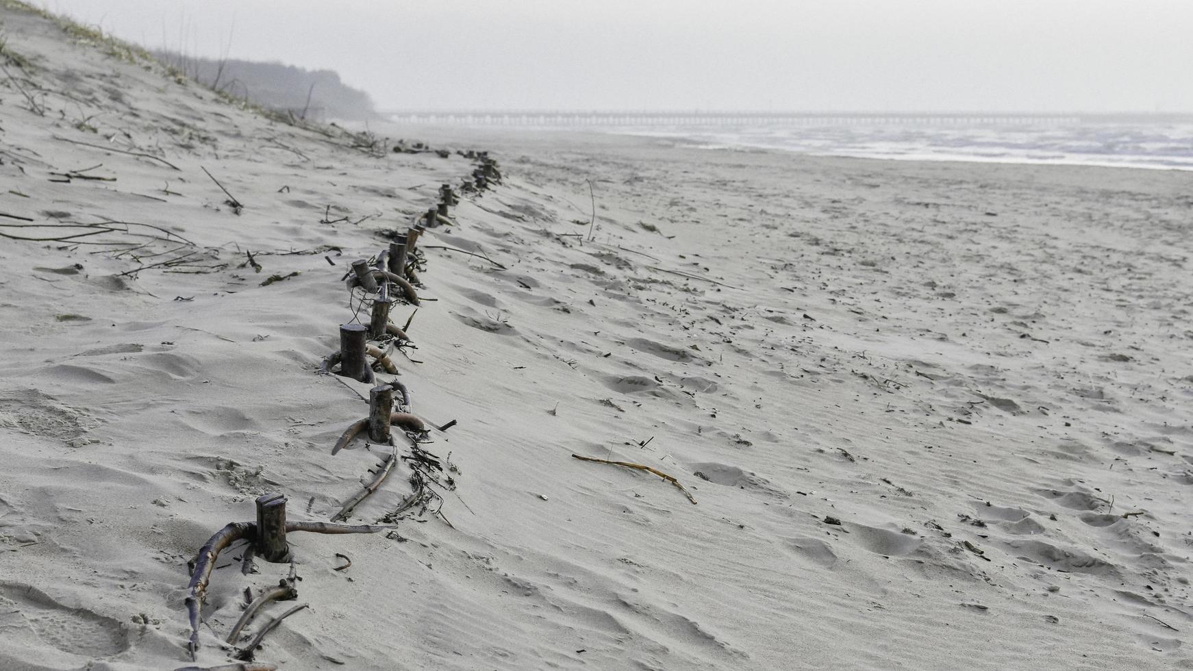 strand sanddyner foto