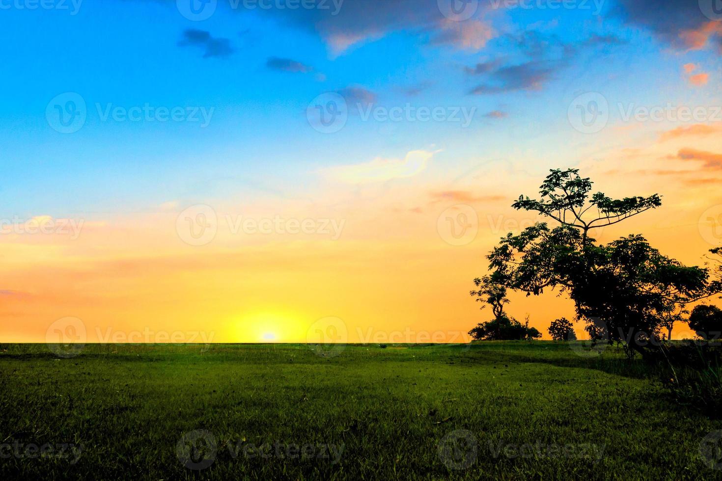 äng soluppgång natur landskap foto