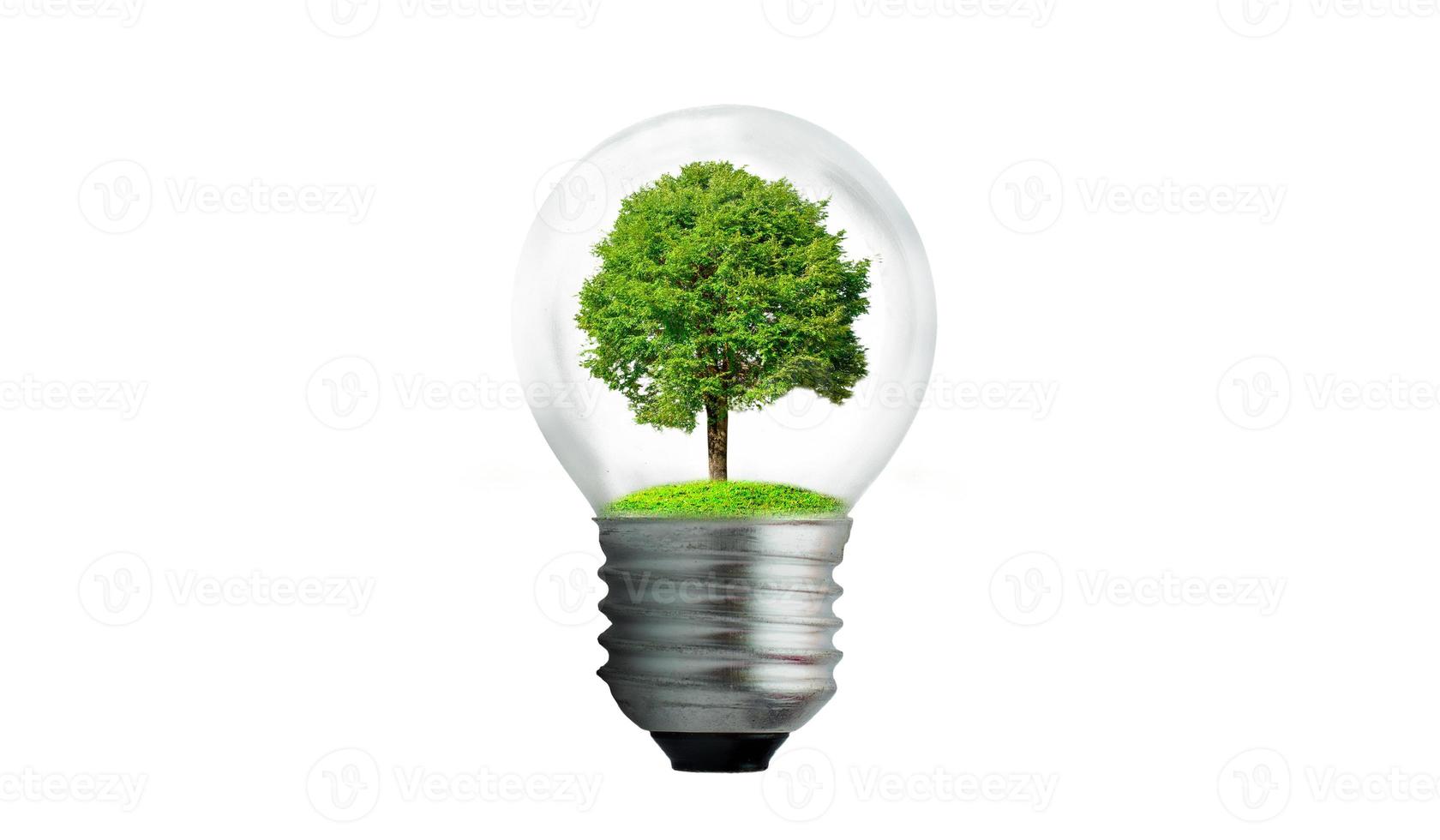 glödlampan ligger på insidan med lövskog och träden är i ljuset. begrepp för miljövård och global uppvärmning växter växer inuti lampa över torr foto