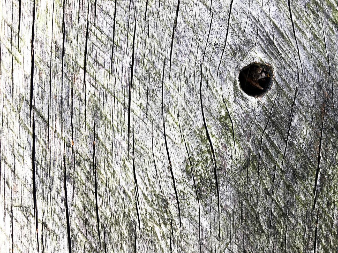 gammal trä textur bakgrund för design foto