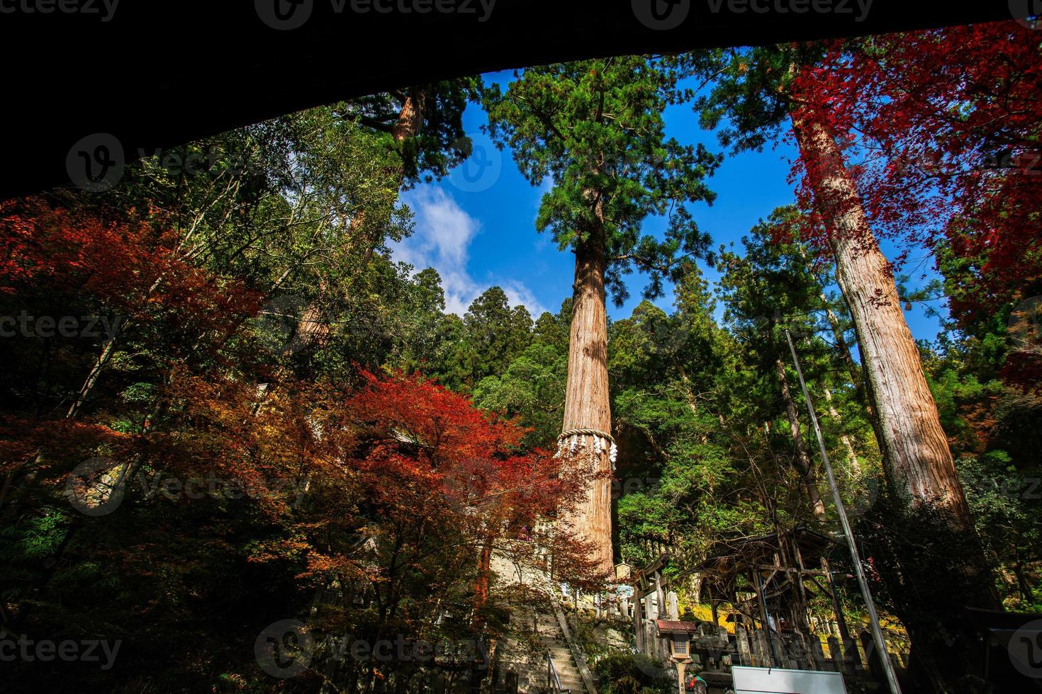 yuki-jinja, en känd shinto helgedom på de grunder av kurama tempel, en tempel belägen på de bas av montera kurama i de långt norr av kyoto prefektur, kansai, japan foto