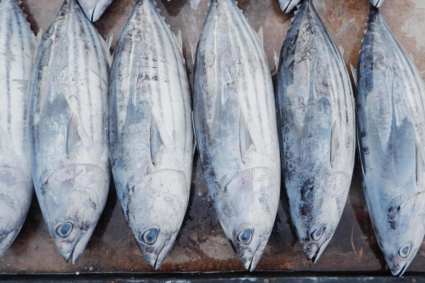 färsk tonfisk från fiskare såld i traditionell marknader foto