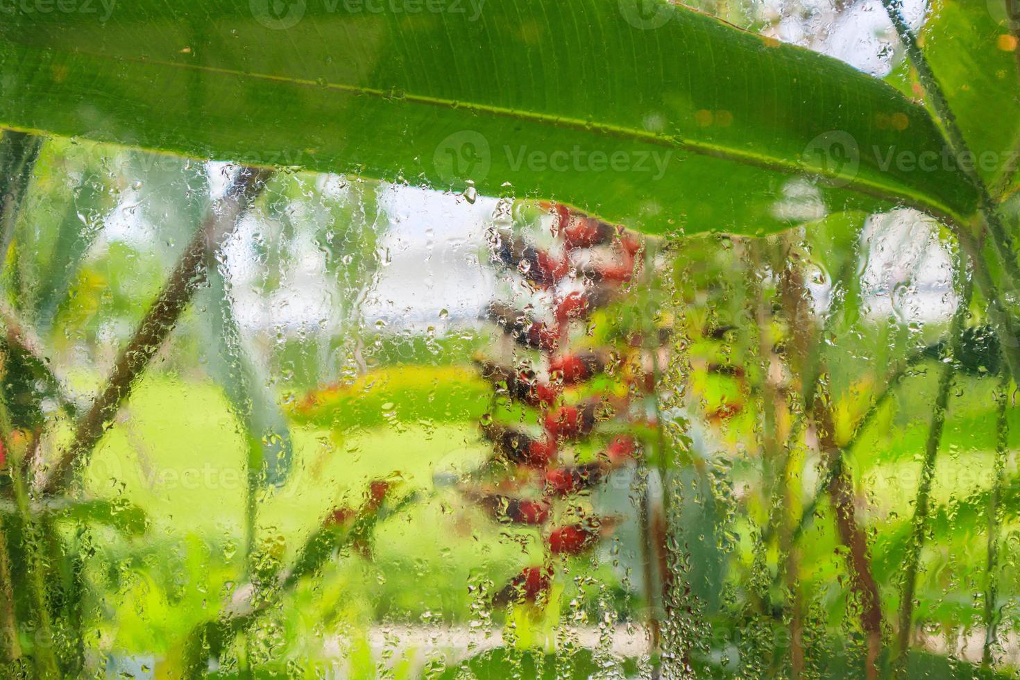 vatten droppar på fönster glas med fläck trädgård bakgrund foto