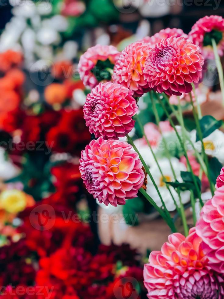 georginer blommor bukett i små blomsterhandlare affär foto