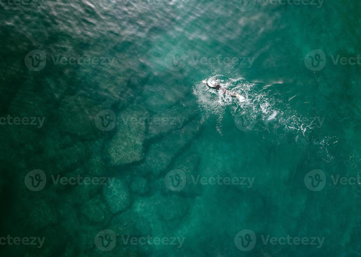 topp ner antenn se av oidentifierbar manlig öppen vatten simning i turkos vatten. fångad i Cascais, portugal foto