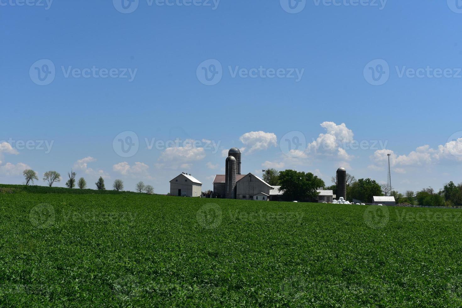 trio av silos omgivande en bondgård i Pennsylvania foto