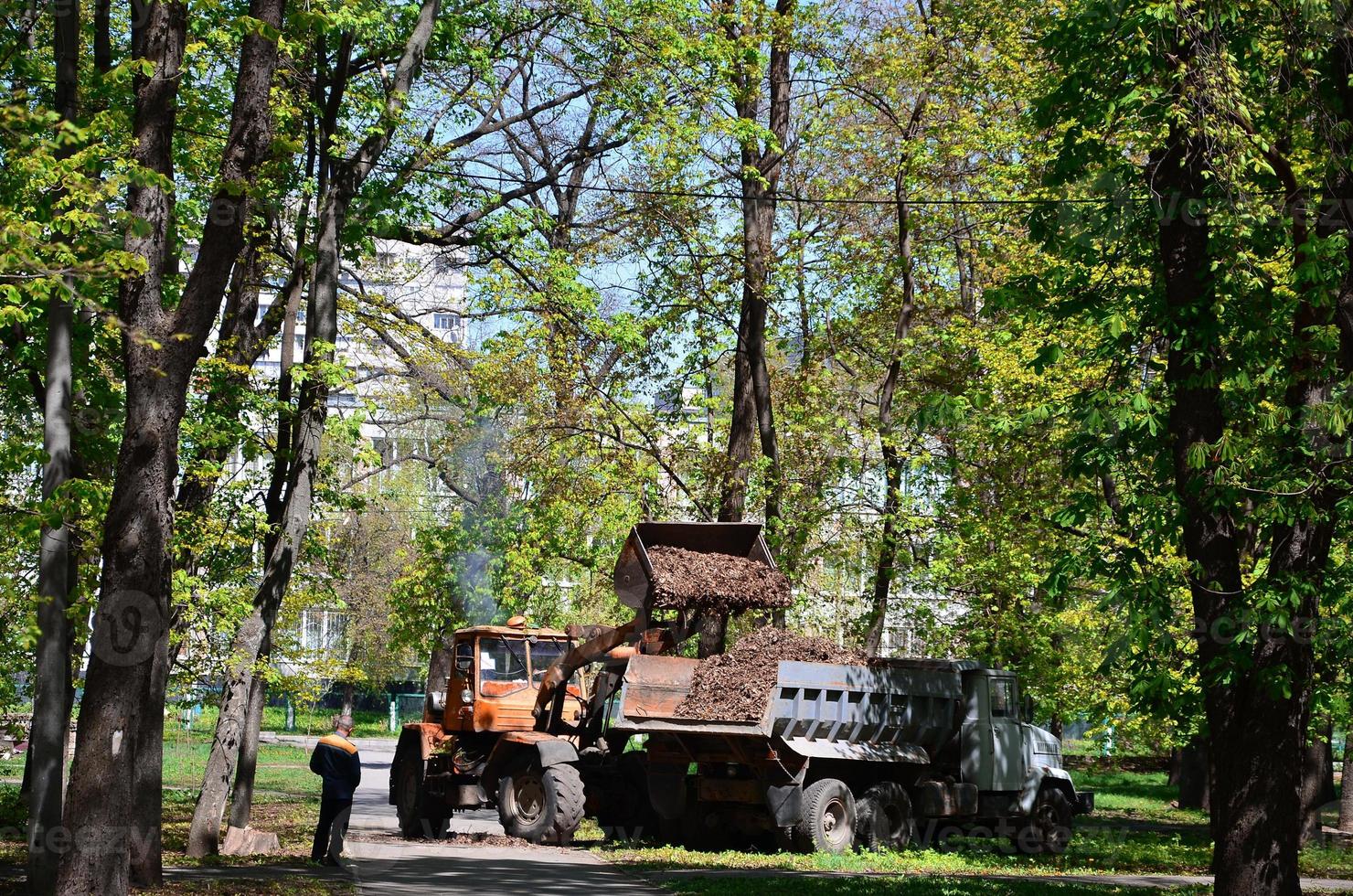 de stad förbättring team tar bort de fallen löv i de parkera med ett grävmaskin och en lastbil. regelbunden säsong- arbete på förbättra de offentlig platser för rekreation foto