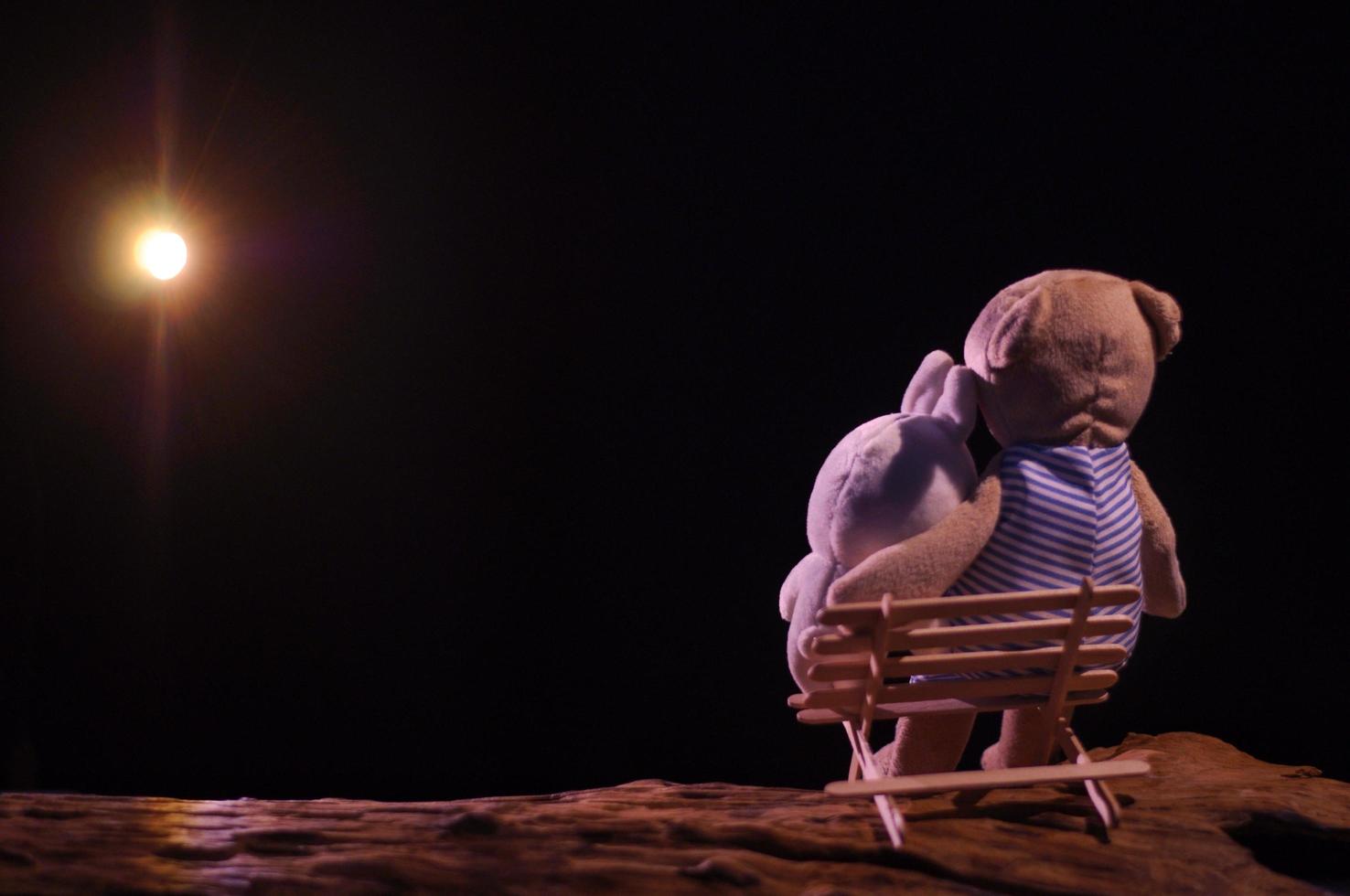 teddy Björn och kanin dockor verkande som par Sammanträde på bänk den där tillverkad från is grädde pinnar och ser på de måne i de romantisk natt. foto