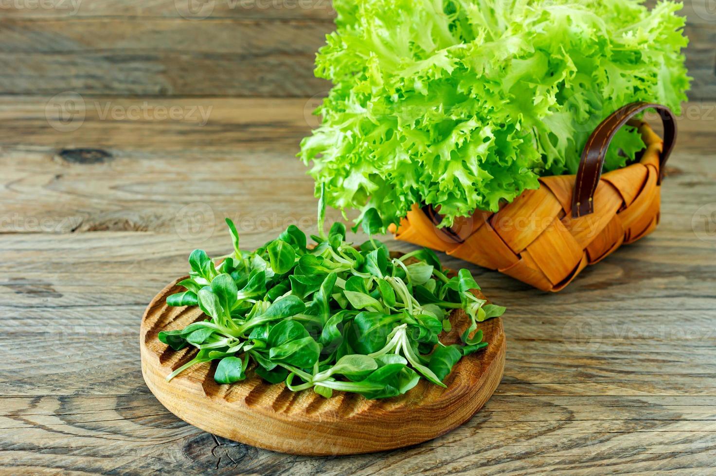 valerianella locusta, majs sallad, lamm sallad. färsk grön majs sallad löv på trä- skrivbord foto