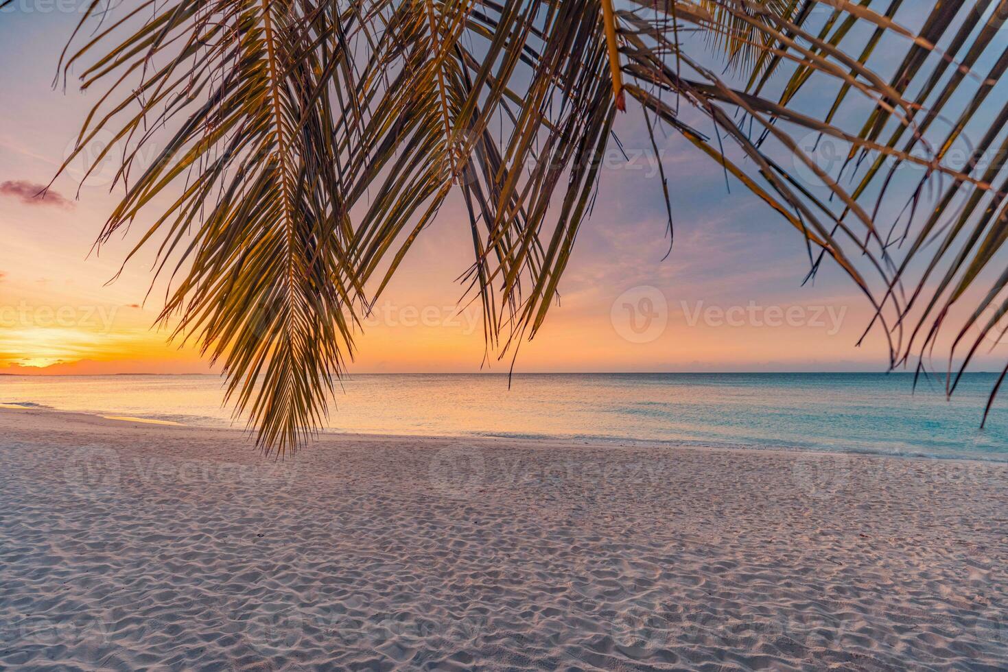 silhuett av handflatan träd löv och hav horisont. skön solnedgång himmel på de tropisk ö kust strand bakgrund, resa i Semester koppla av tid. Fantastisk solnedgång natur landskap, koppla av romantisk färger foto