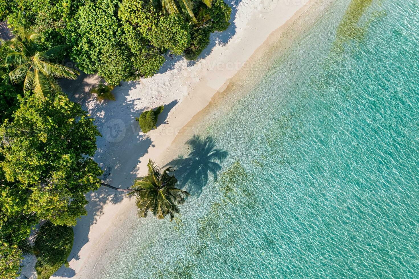 maldiverna antenn ö landskap. tropisk strand kust från Drönare. exotisk natur, handflatan träd över vit sand stänga till korall rev, blå hav, lagun. sommar och resa semester begrepp. skön natur foto