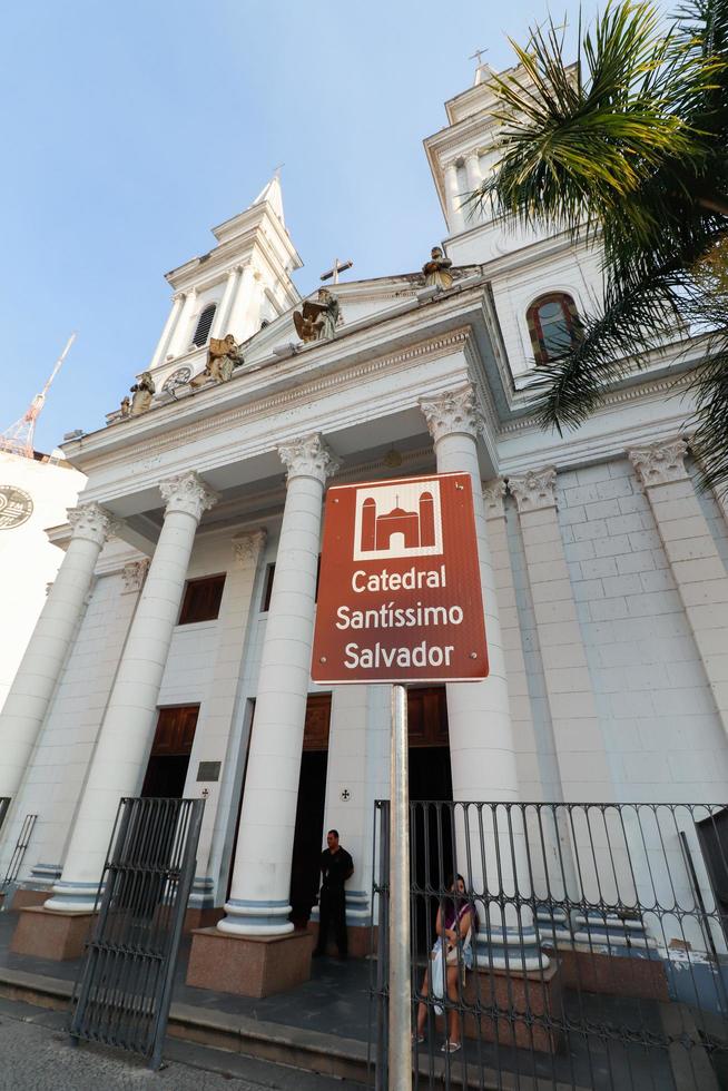 campos dos goytacazes, rj, Brasilien - katedral av de mest helig räddare, Fasad och interiör foto