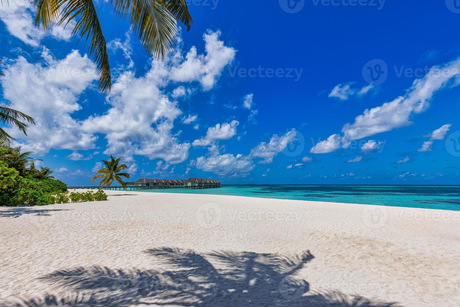 fantastisk maldiverna landa strand, kustlinje med handflatan träd, vit sand och vatten villor. lyx sommar destination naturskön, resa landskap. skön exotisk havet natur strand. Fantastisk tillflykt Semester foto