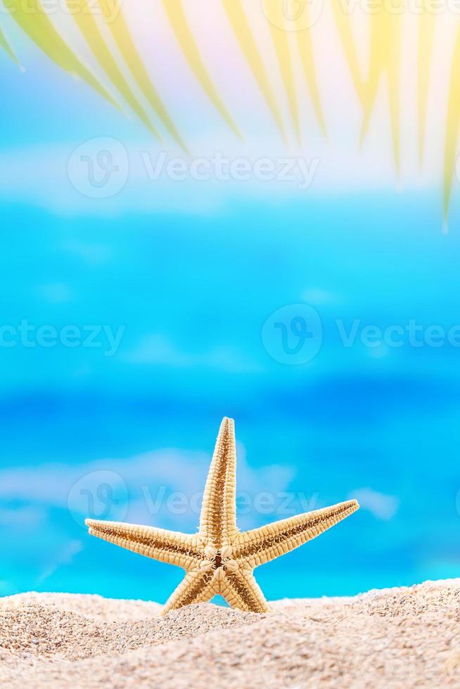 gul sjöstjärna på sandig strand, hav och handflatan träd Bakom. semester, resa, Semester begrepp. kopia Plats, vertikal foto