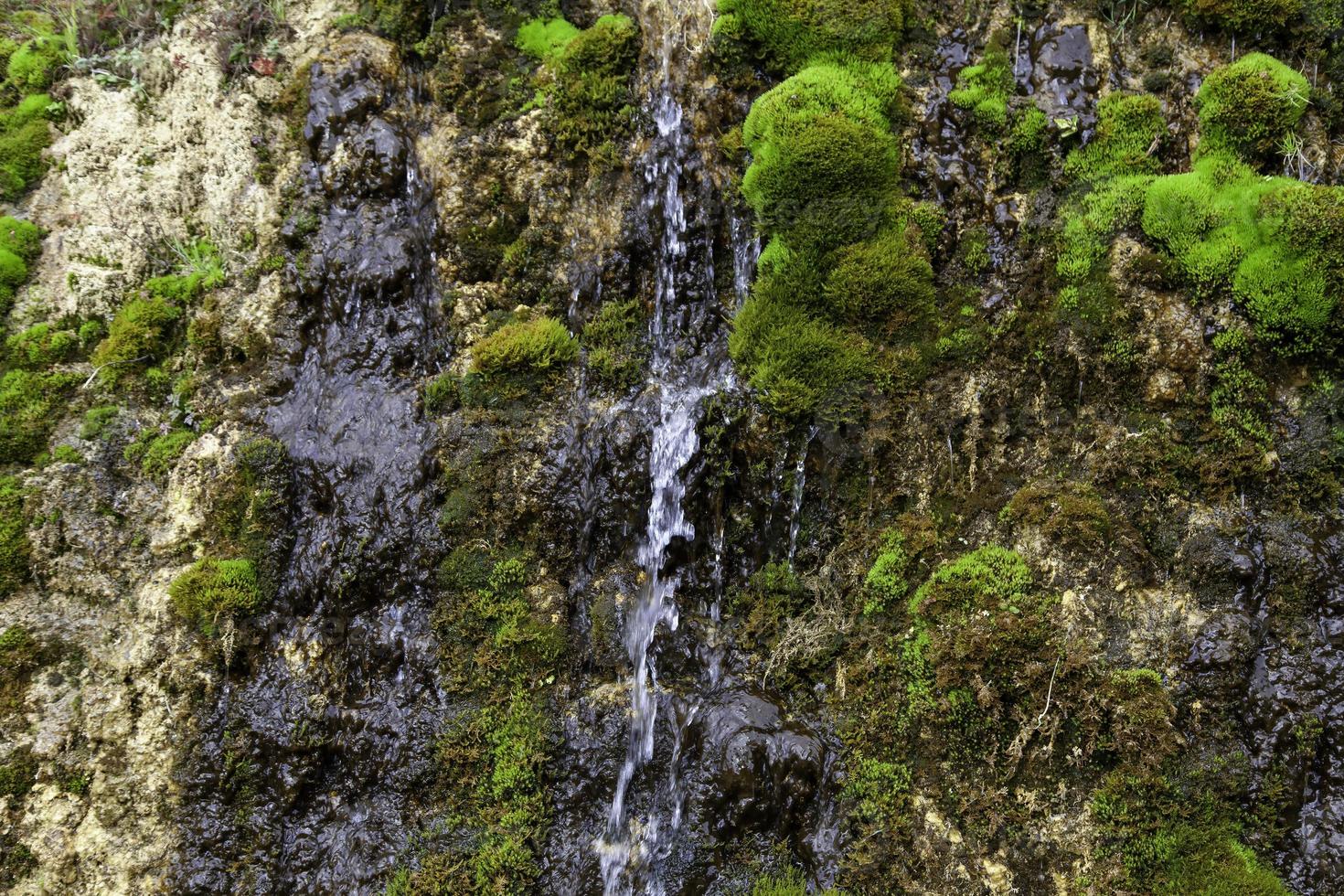 vattenfall i naturen foto