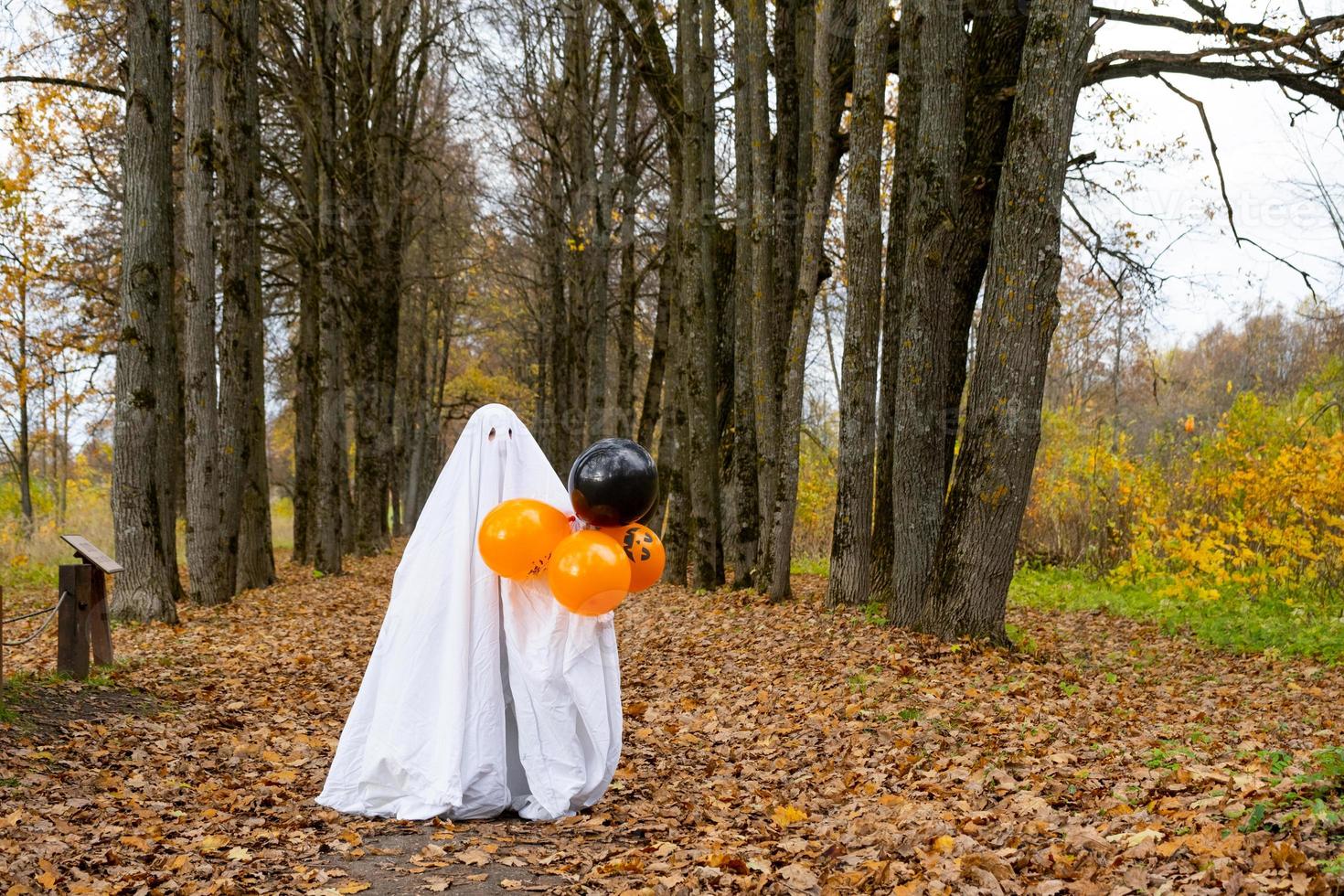 en barn i ark med Skära ut för ögon tycka om en spöke kostym i ett höst skog skrämmer och skrämmer. en snäll liten rolig spöke. halloween fest foto