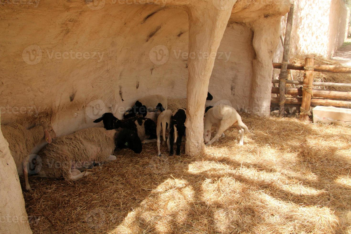 en se av de nazareth by i Israel foto