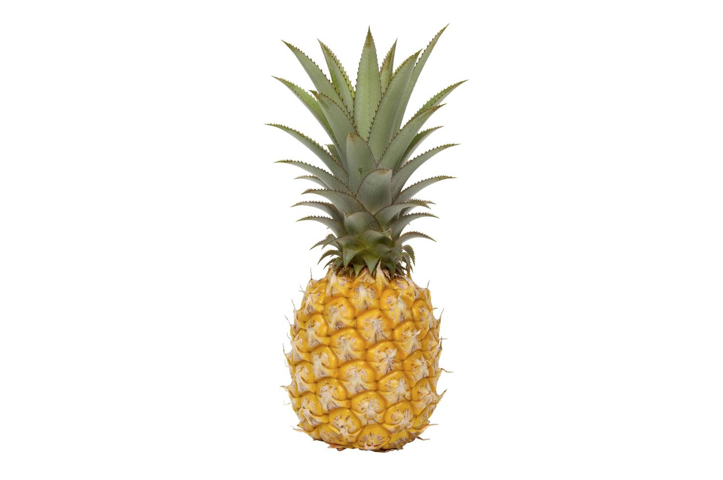 ananas på vit bakgrund foto