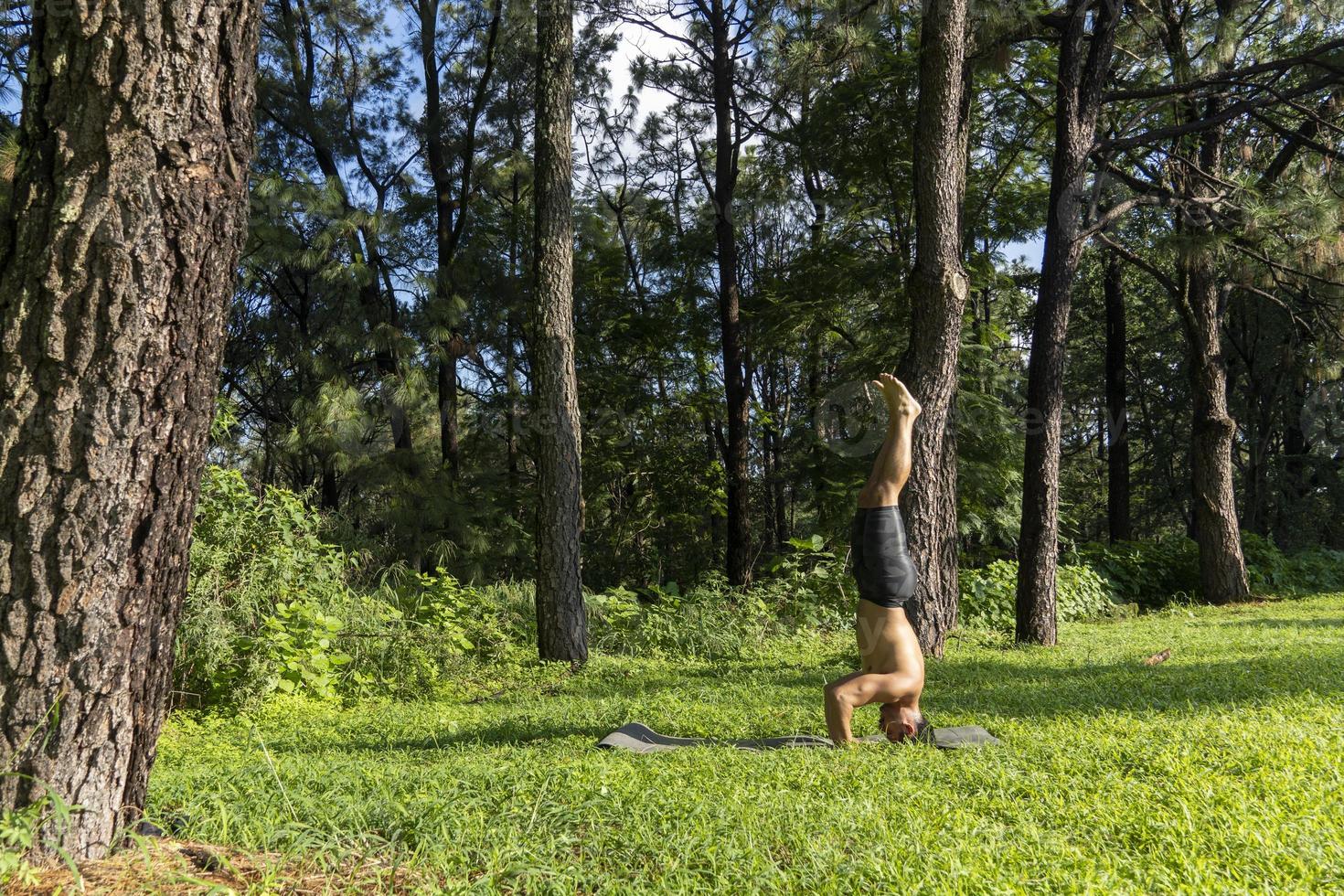 ung man, håller på med yoga eller reiki, i de skog mycket grön vegetation, i Mexiko, guadalajara, bosque colomos, latinamerikan, foto